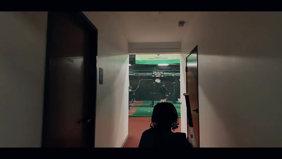 Baseball clip